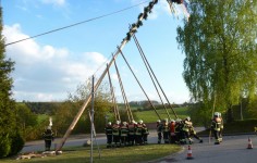 Maibaum_2017